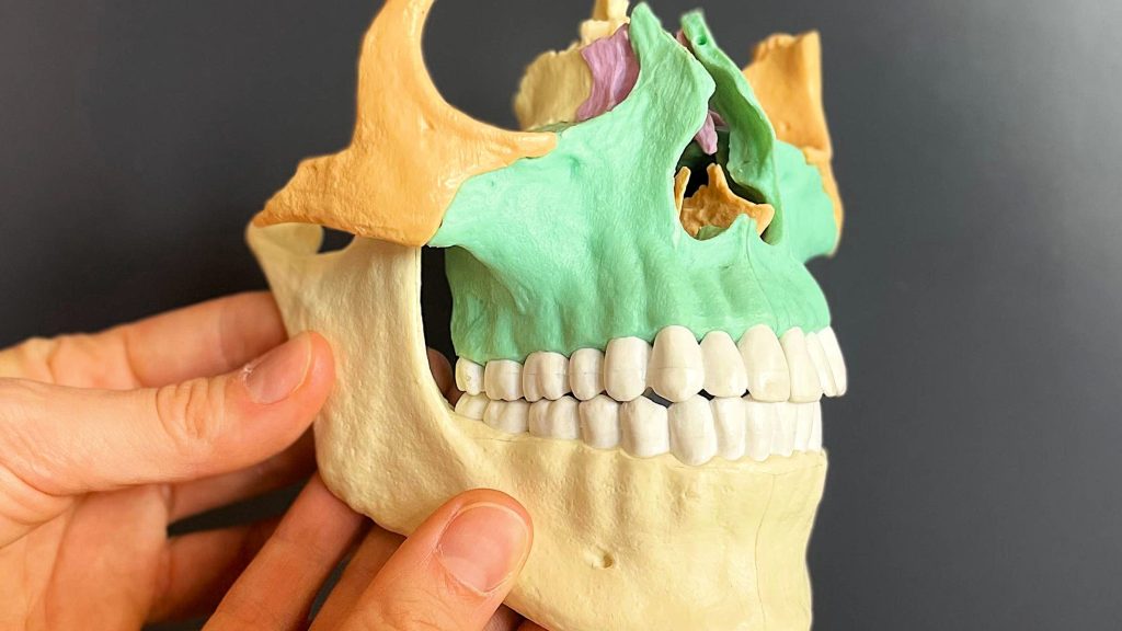 L’importanza dell’esercizio terapeutico e della terapia manuale nella gestione conservativa dei disordini temporo-mandibolari